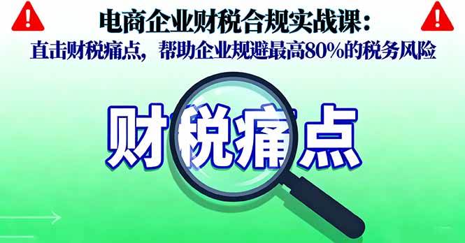 （16232期）电商企业财税合规实战课，直击财税痛点，帮助企业规避最高80%的税务风险-优优久网创